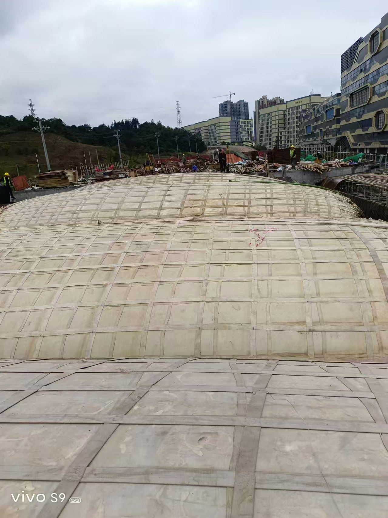 微信图片_20241029161920.jpg